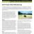 2011 Lyndon B Johnson NHP Exotic Plant Monitoring